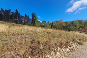 TERRAIN LES BRESEUX