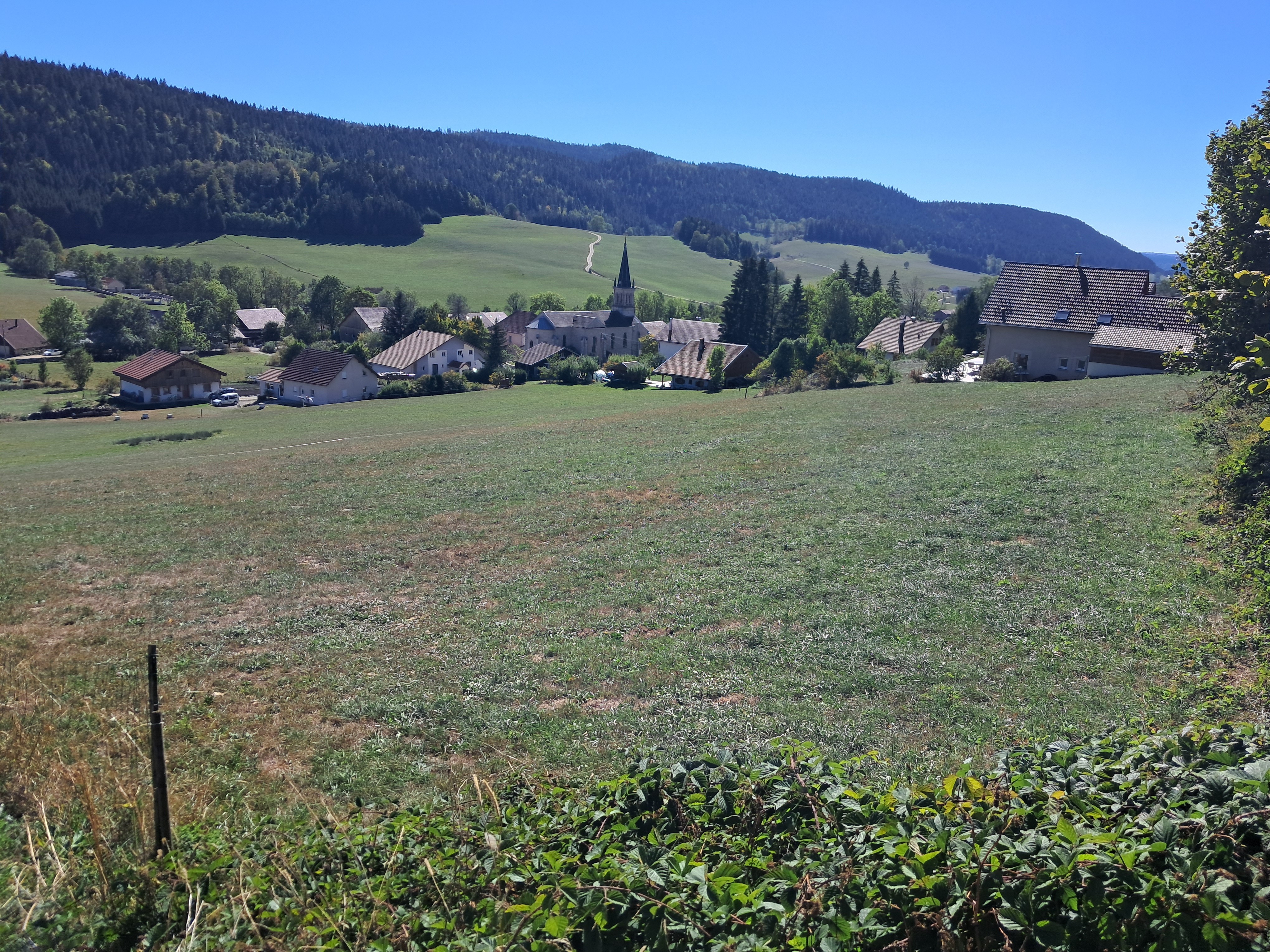 TERRAIN LES ALLIES - photo 2