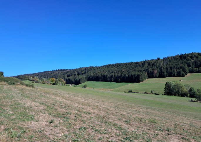 TERRAIN LES ALLIES