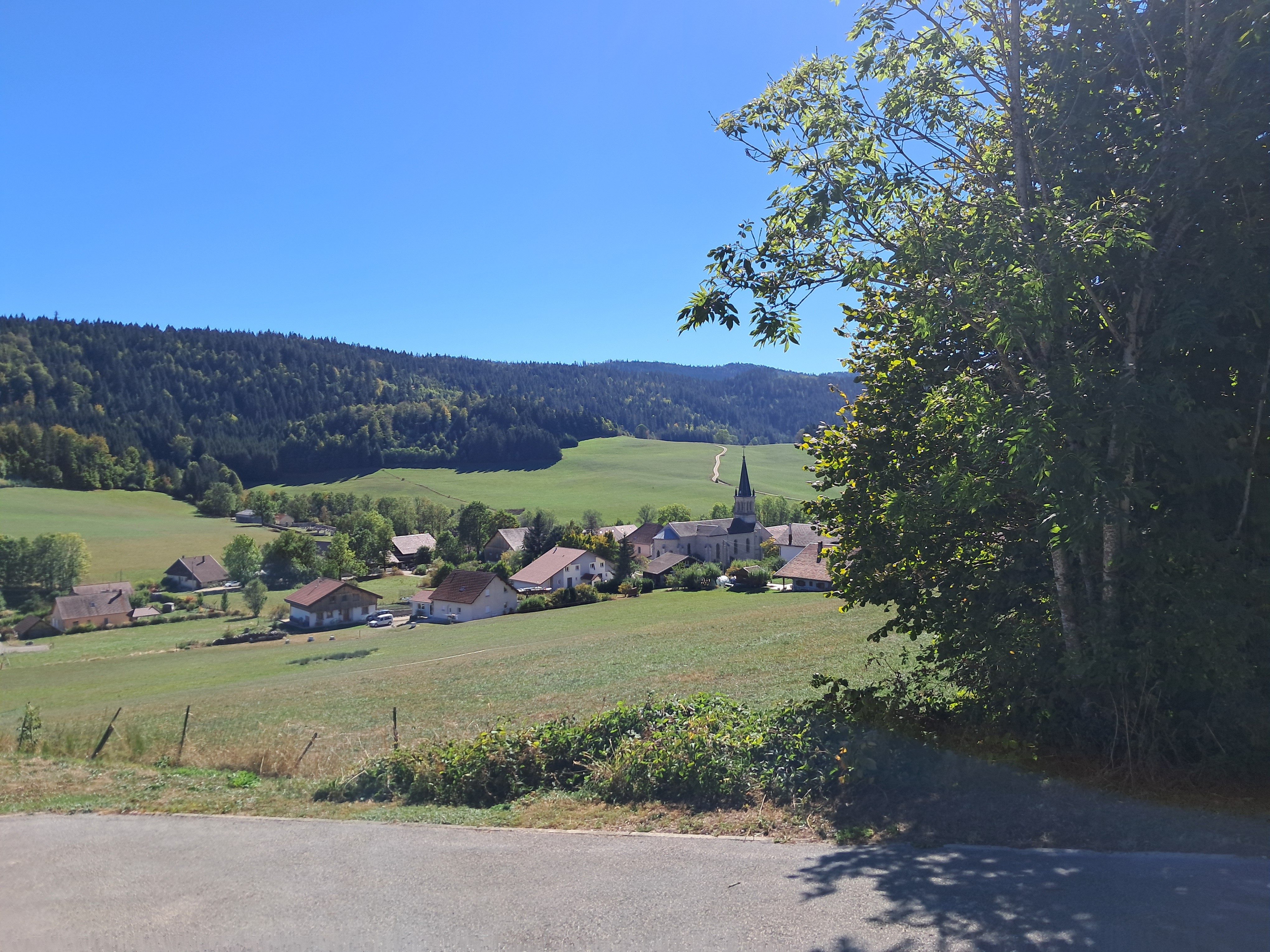 TERRAIN LES ALLIES - photo 3