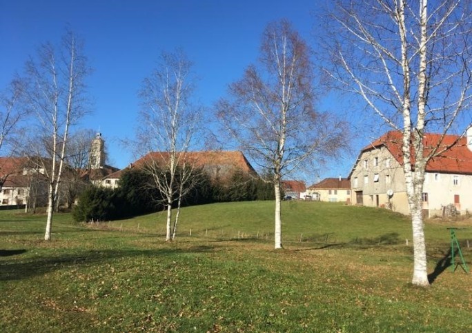 TERRAIN FRASNE