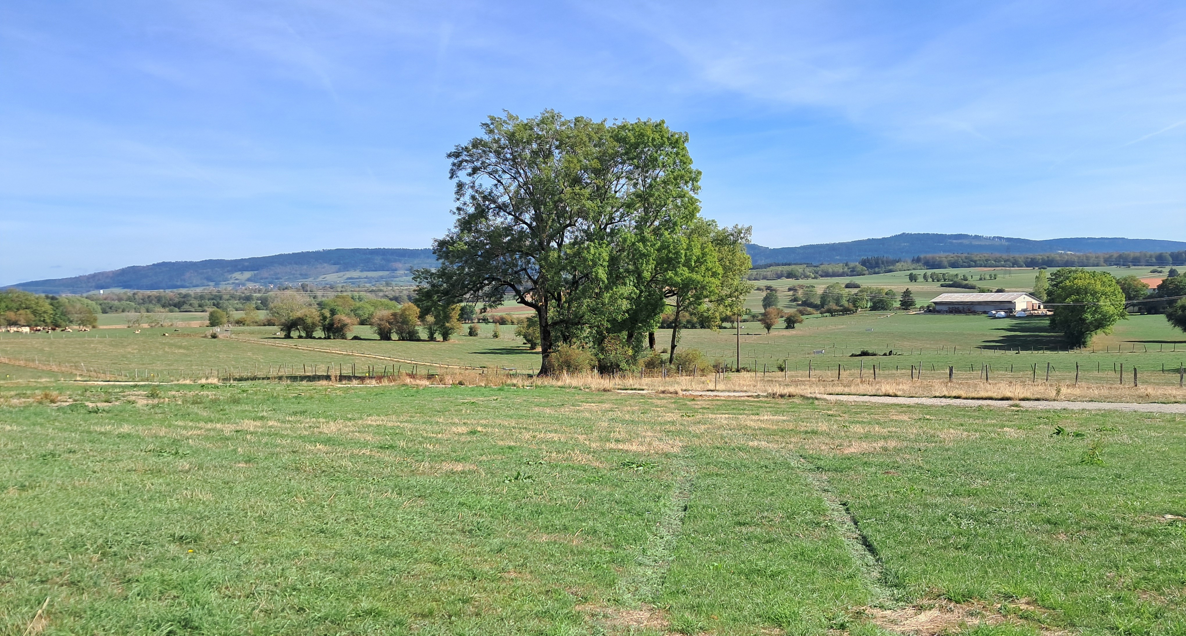 TERRAIN DOMPREL