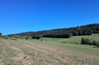 TERRAIN LES ALLIES