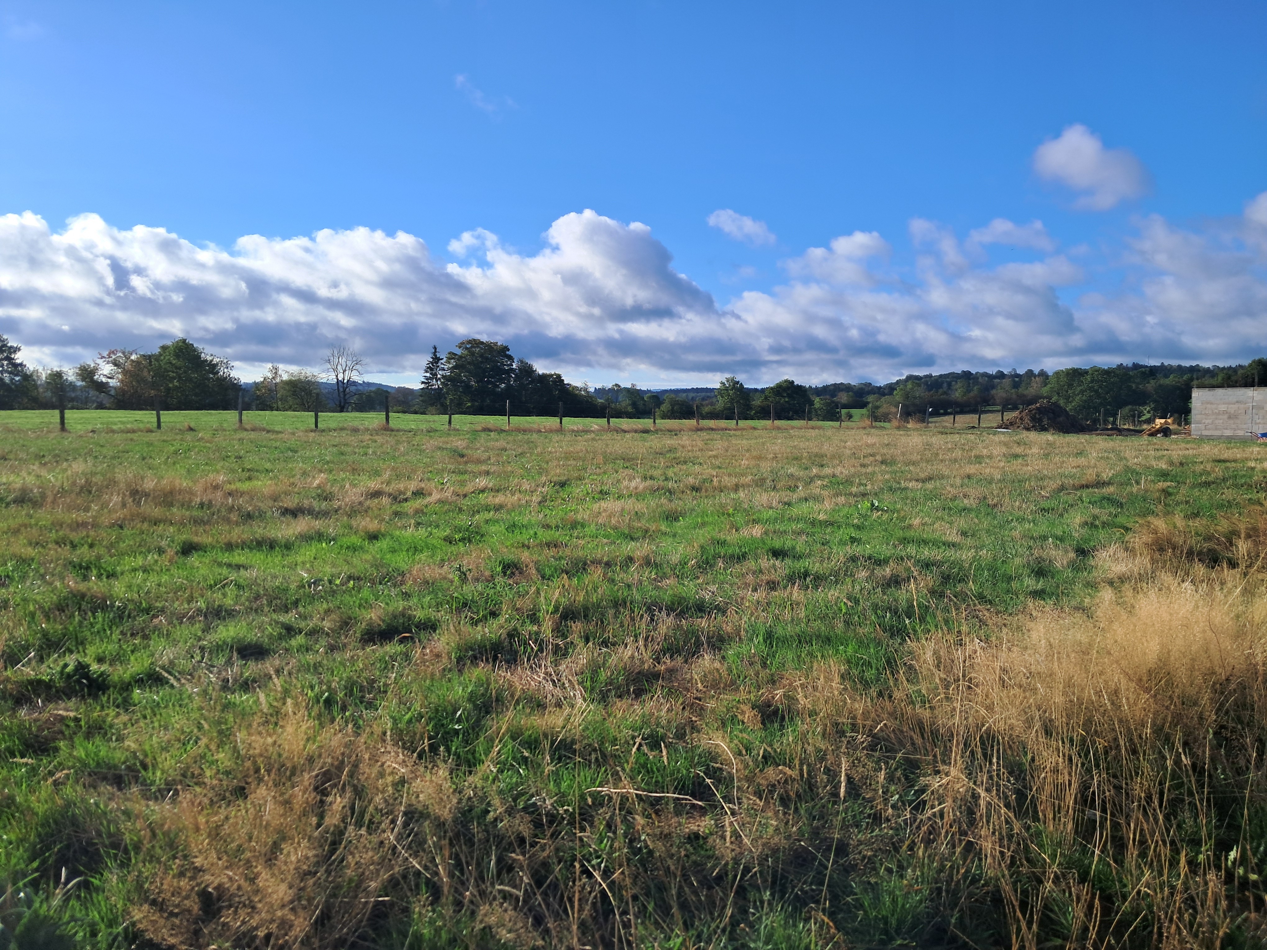 TERRAIN MAICHE - photo 2