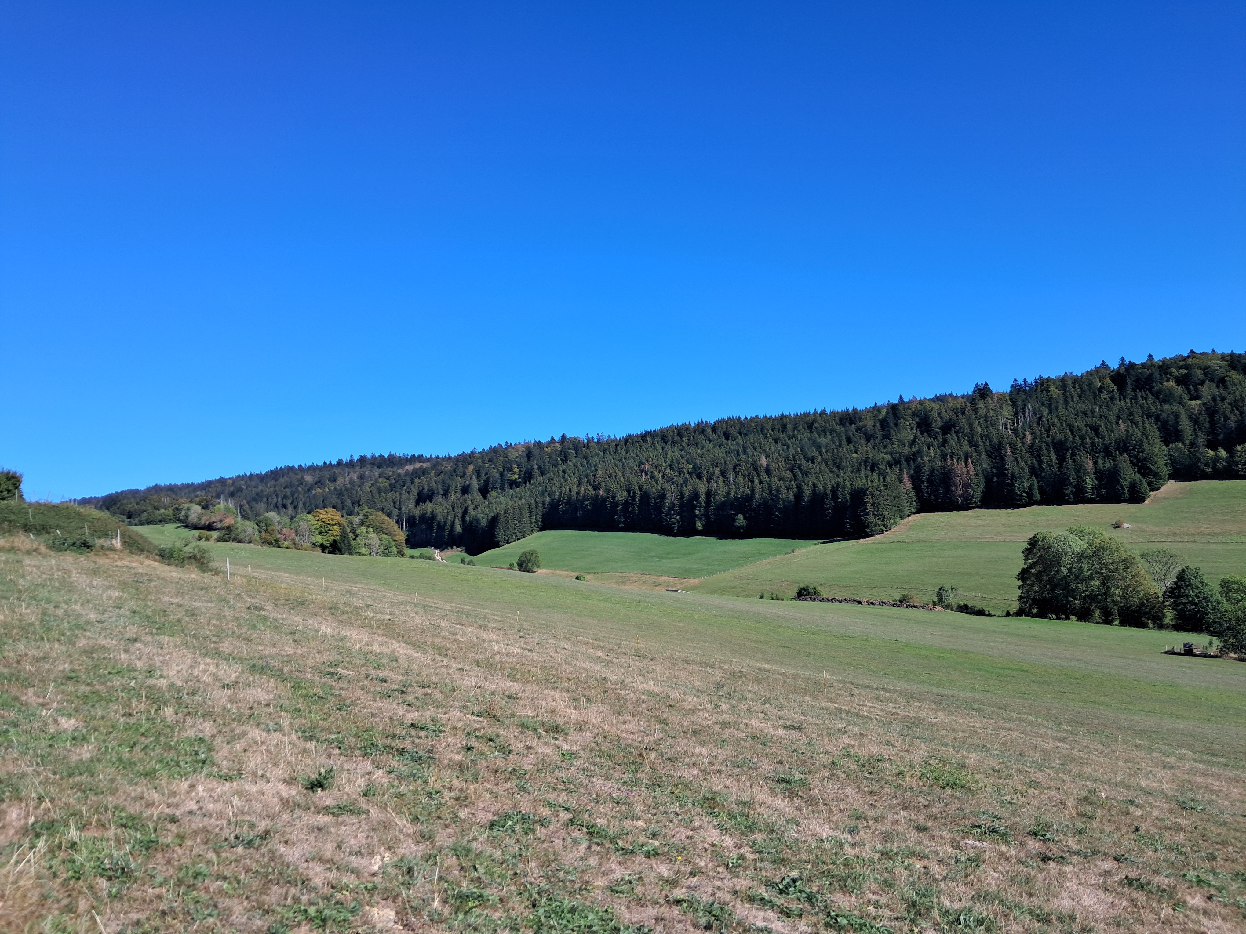TERRAIN LES ALLIES