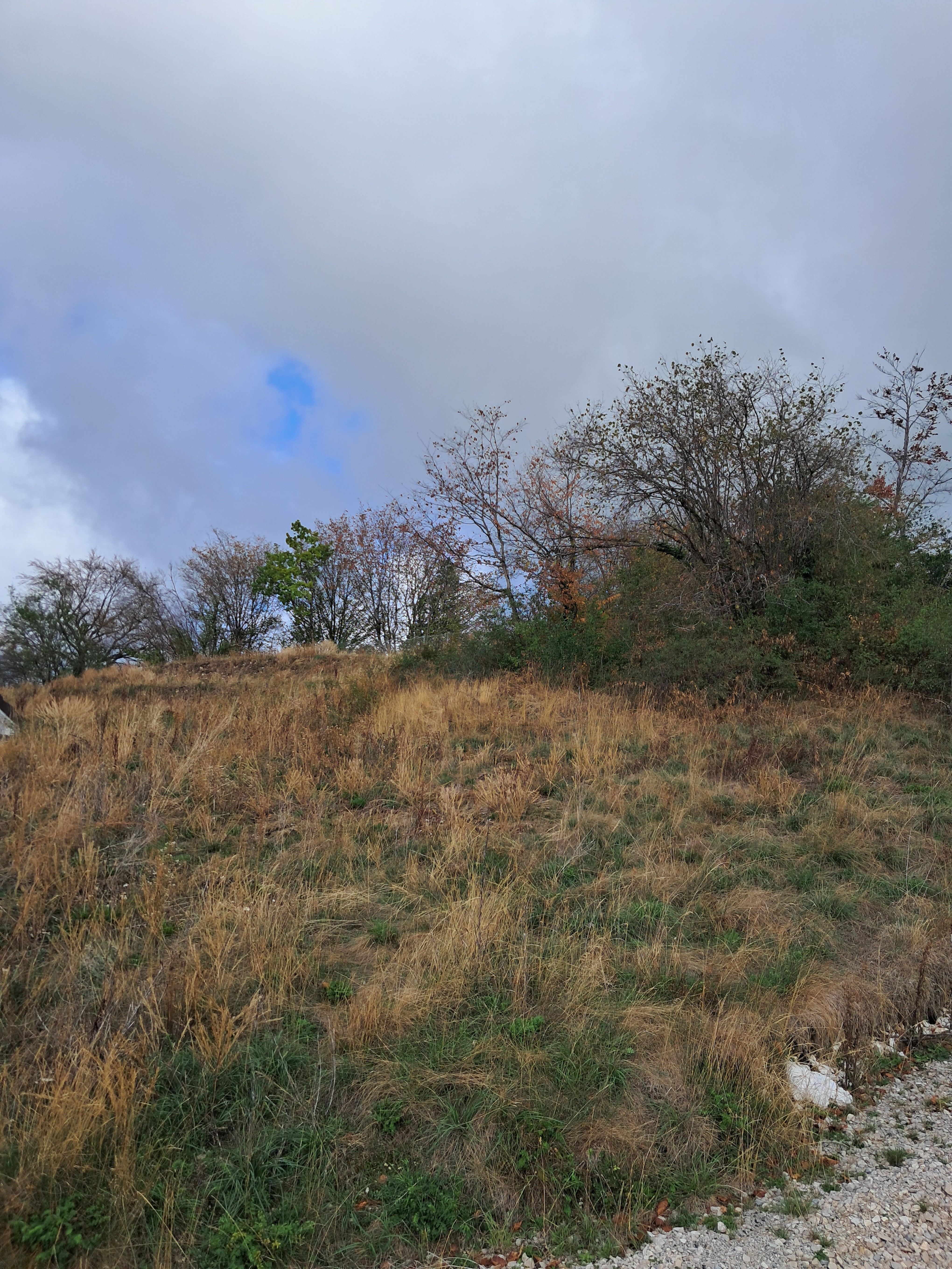 TERRAIN MONTANDON - photo 3
