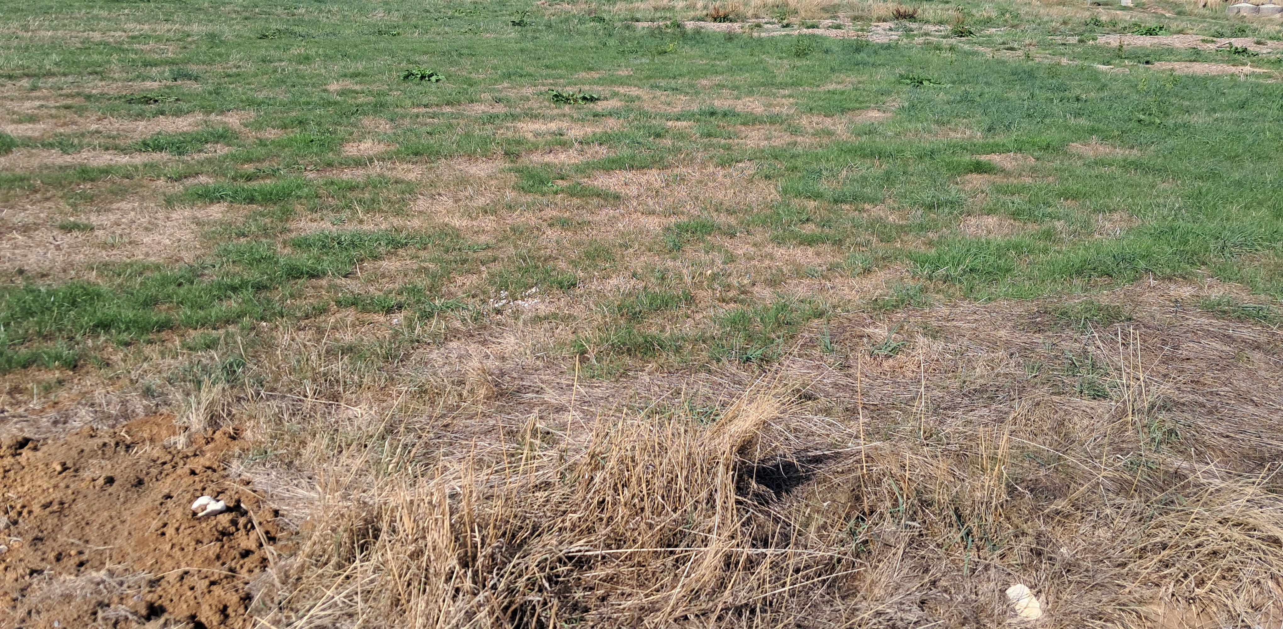 TERRAIN DOMPREL - photo 3