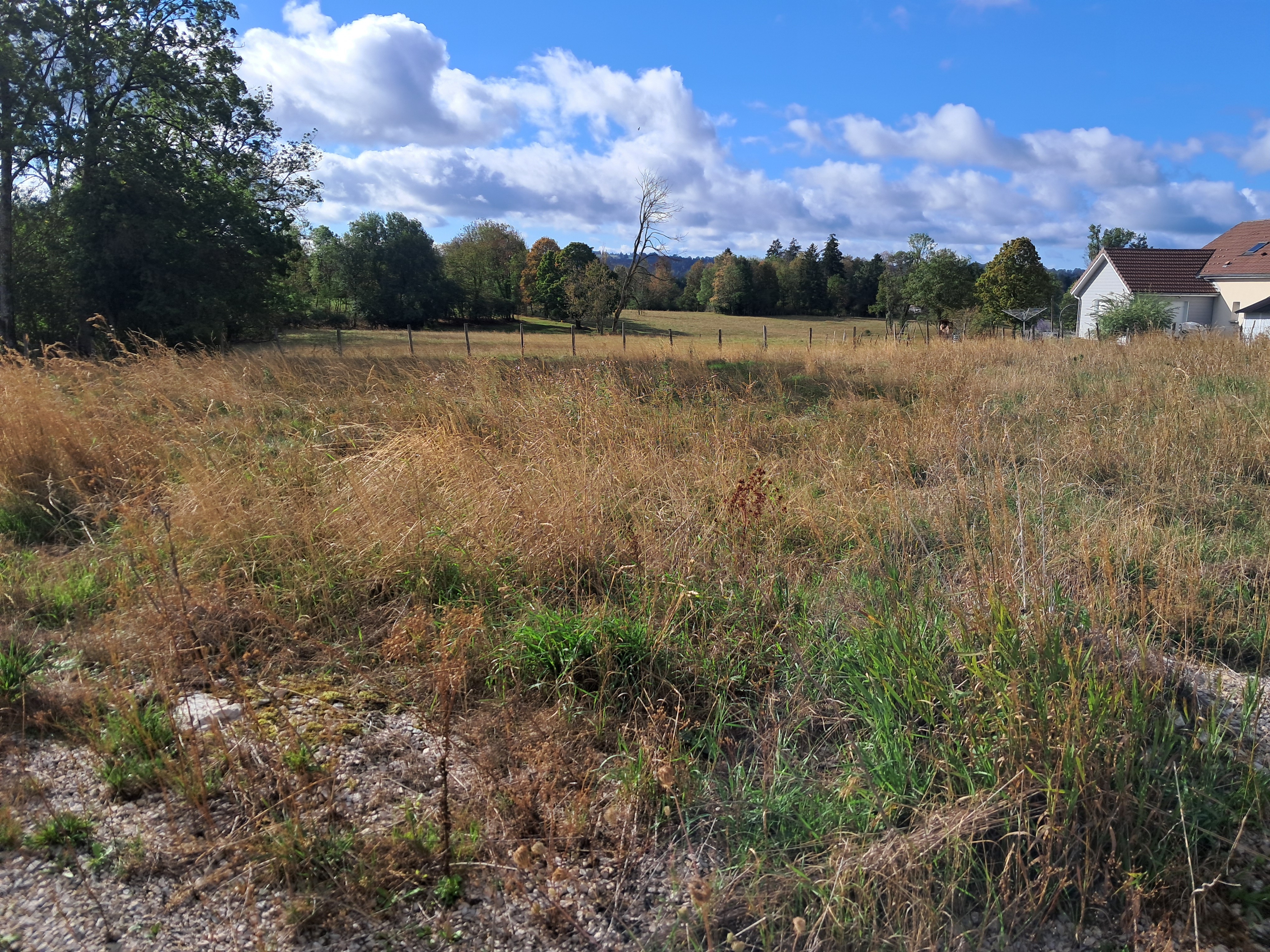 TERRAIN CERNAY-L'EGLISE - photo 2