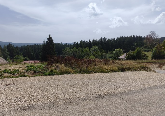 TERRAIN MORTEAU TOUT VENT
