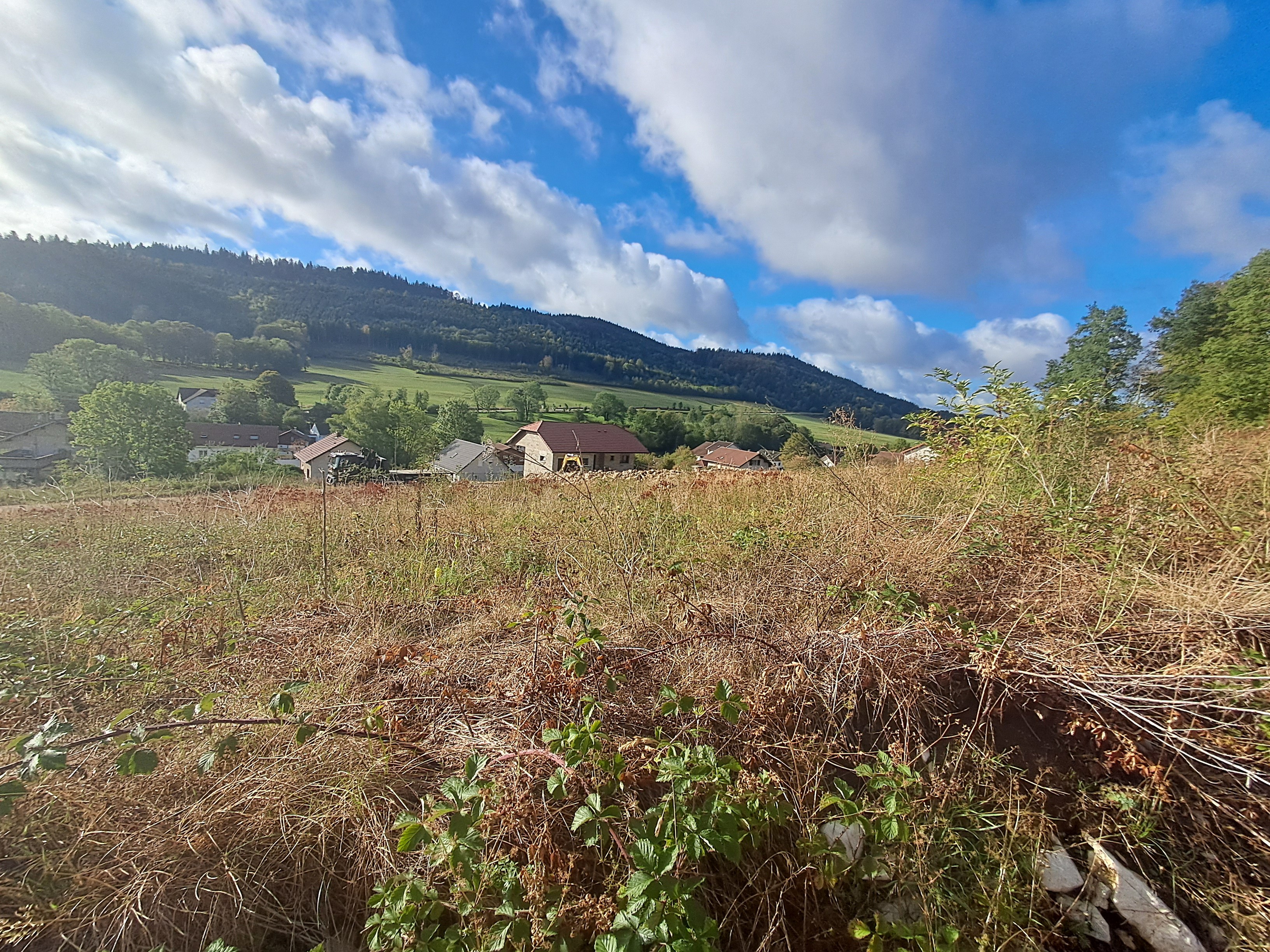 TERRAIN LES BRESEUX - photo 2