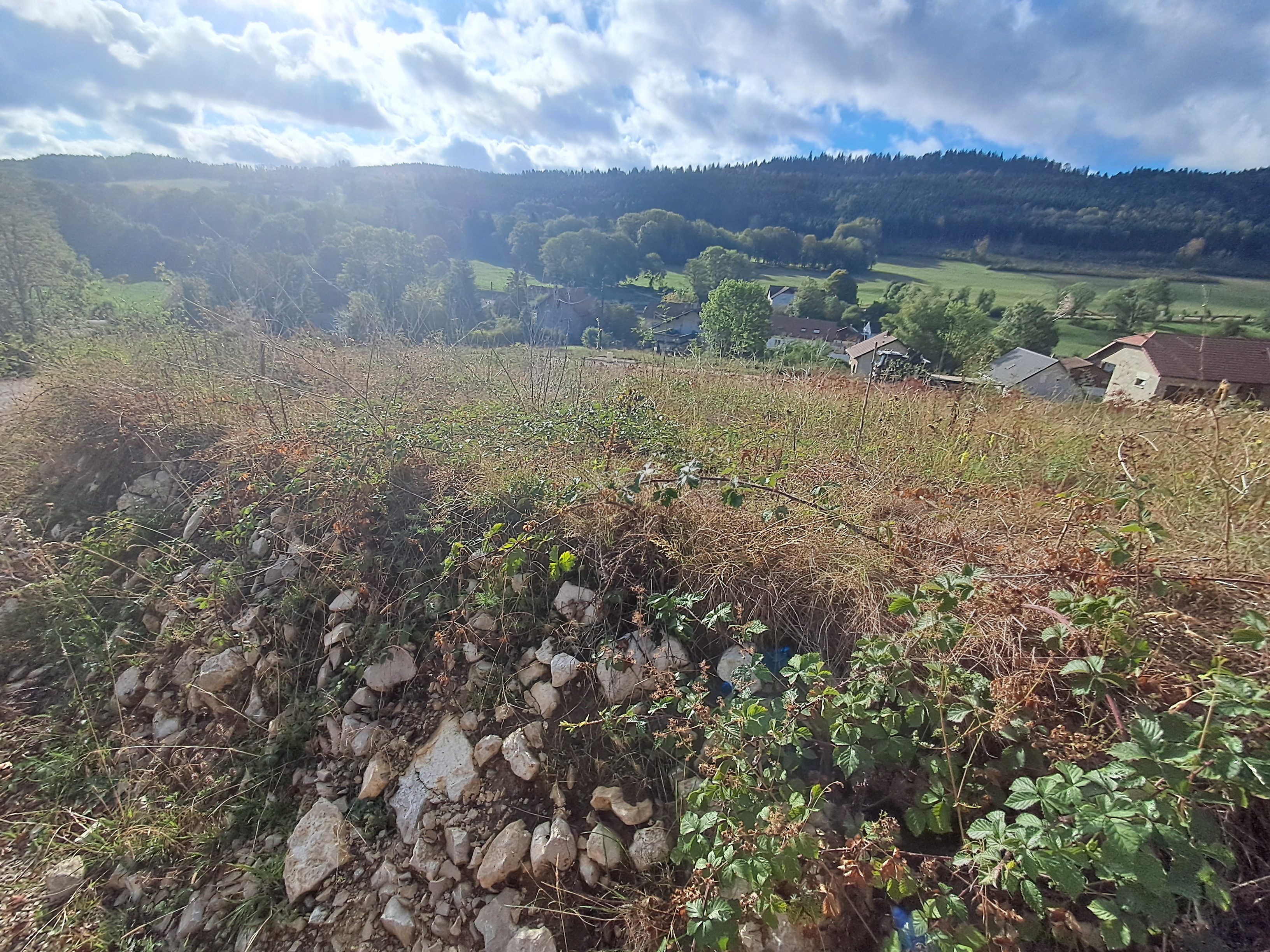 TERRAIN LES BRESEUX - photo 3