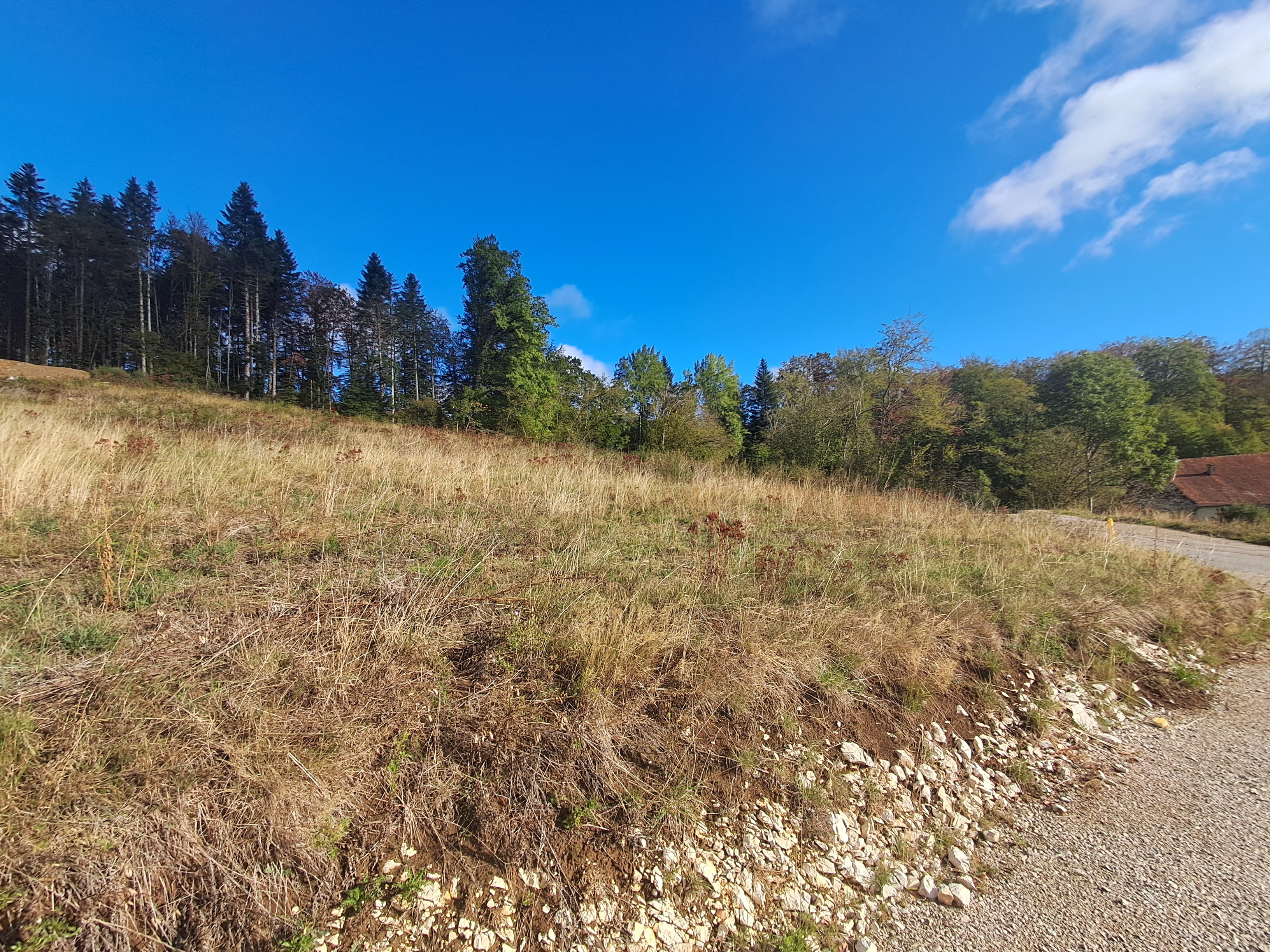 TERRAIN LES BRESEUX