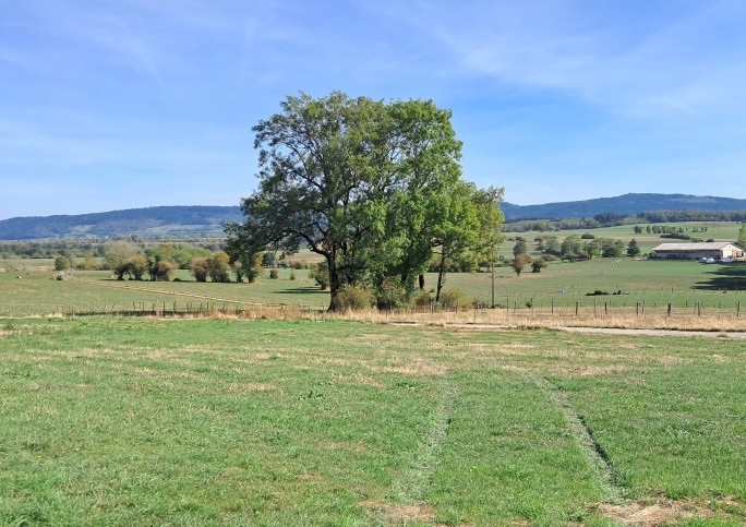 TERRAIN DOMPREL
