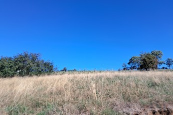 TERRAIN GUYANS-VENNES