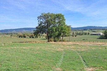 TERRAIN DOMPREL