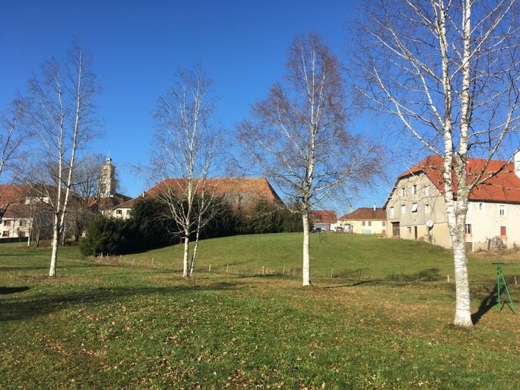 TERRAIN FRASNE